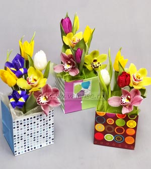 5шт- 900р / 7шт- 1200р