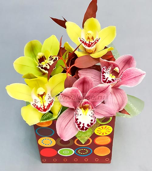 7 Орхидей  - доставка цветов Валенсе вариант исполнения 1 