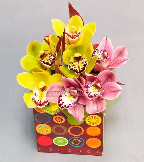 7 Орхидей  - доставка цветов Валенсе