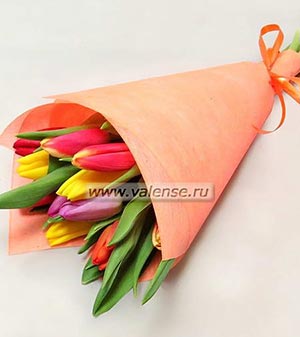 11 тюльпанов