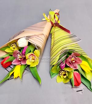 Орхидеи, тюльпаны