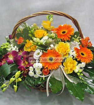 Корзина сборная