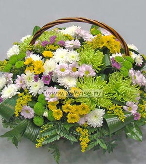 Хризантема