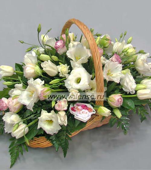 Эустома, тюльпан - доставка цветов Валенсе