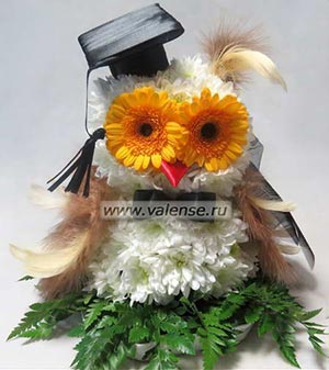 Сова Учитель