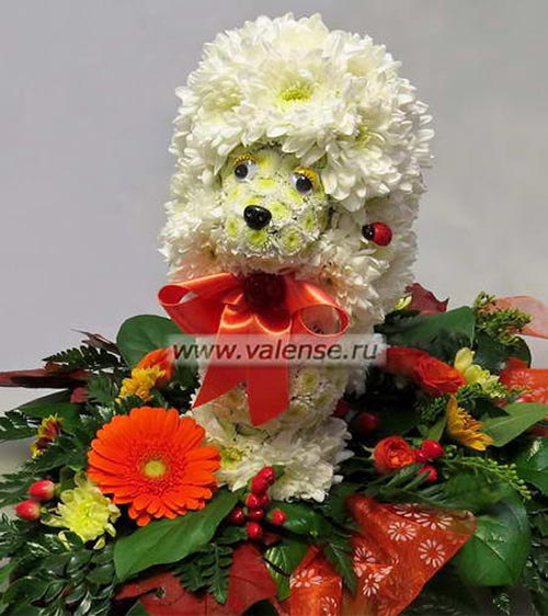 Собачка пудель - доставка цветов Валенсе