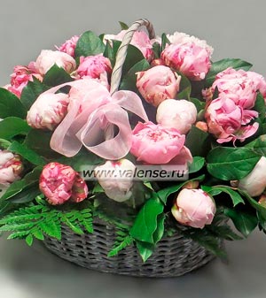 Корзина пионов