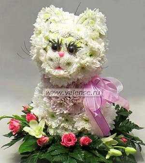 Кошечка