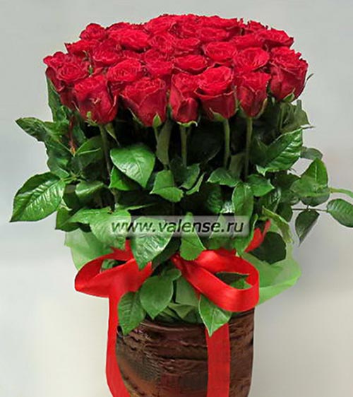 Коробка роз - доставка цветов Валенсе