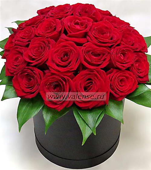 29 Роза в Коробке - доставка цветов Валенсе