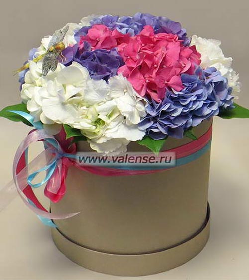 Гортензии в коробке - доставка цветов Валенсе
