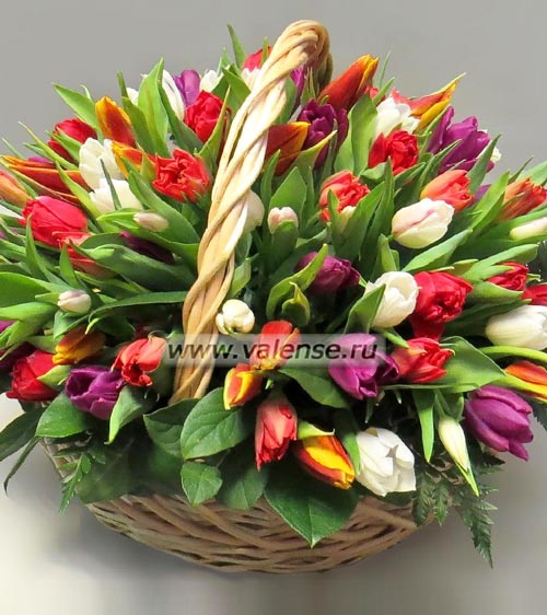 Корзина Тюльпанов - доставка цветов Валенсе