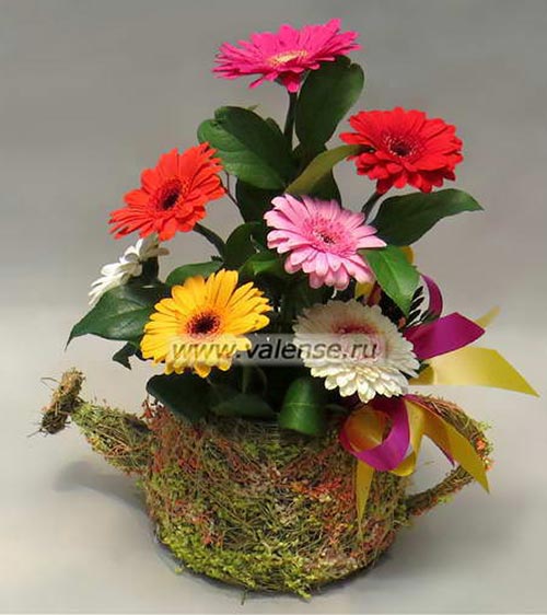 Чайник с герберами - доставка цветов Валенсе