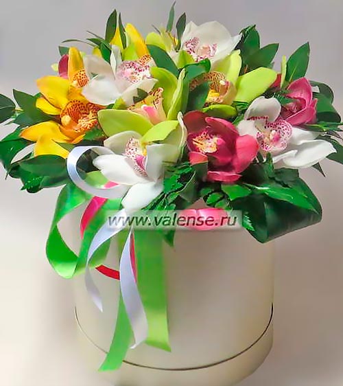 Коробка орхидей - доставка цветов Валенсе