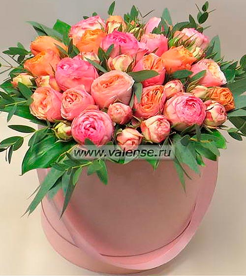 Роза Пионовидная - доставка цветов Валенсе