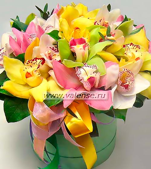 Орхидея в коробке - доставка цветов Валенсе