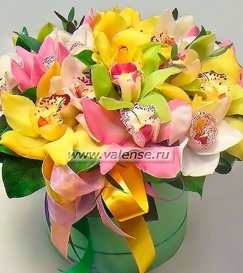Орхидея Микс - доставка цветов Валенсе