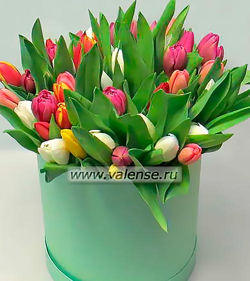 51 тюльпан - доставка цветов Валенсе