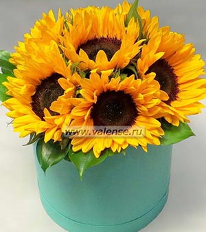 Подсолнухи в коробке