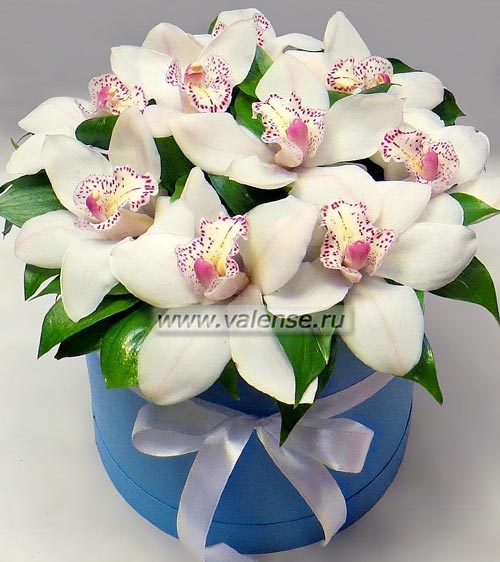 Орхидеи в коробке - доставка цветов Валенсе