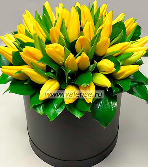 51 желтый тюльпан - доставка цветов Валенсе