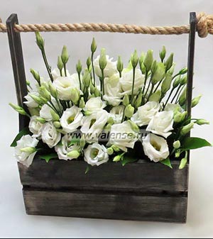 Ящик эустомы