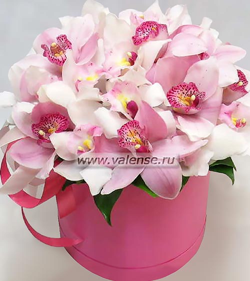 Коробка орхидей - доставка цветов Валенсе