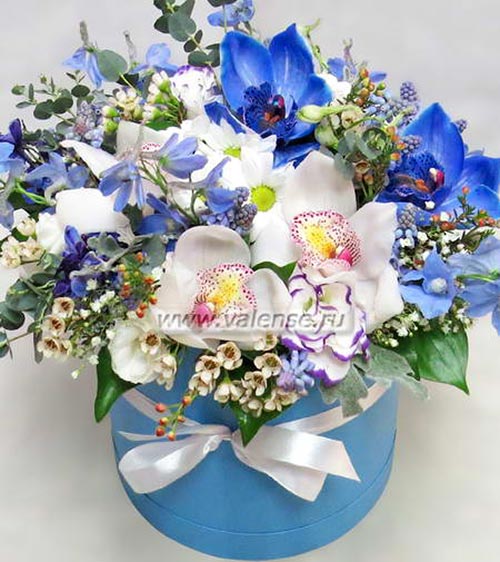 Синие и Белые - доставка цветов Валенсе