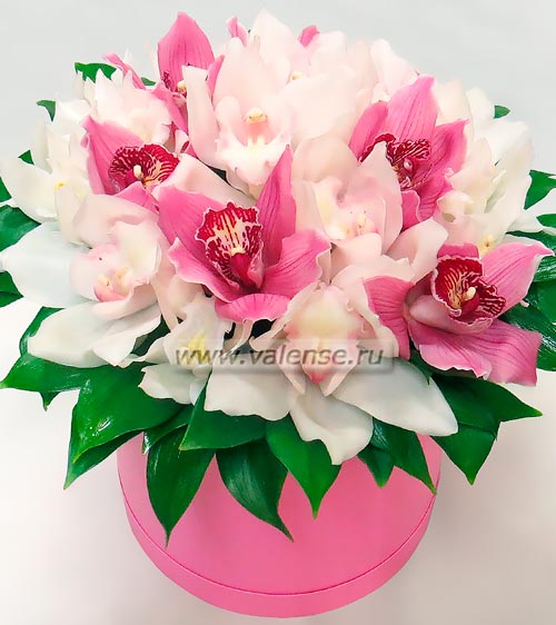 Орхидеи розово-белые - доставка цветов Валенсе