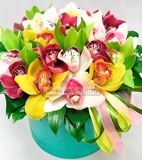 Коробочка орхидей - доставка цветов Валенсе