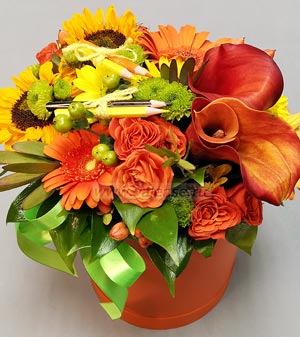 Коробочка в школу