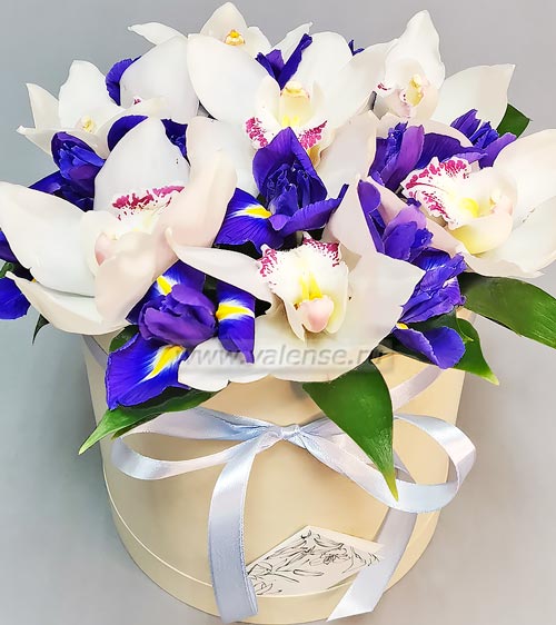 Орхидея, ирис - доставка цветов Валенсе