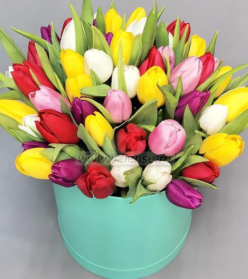 51 Тюльпан в коробке - доставка цветов Валенсе