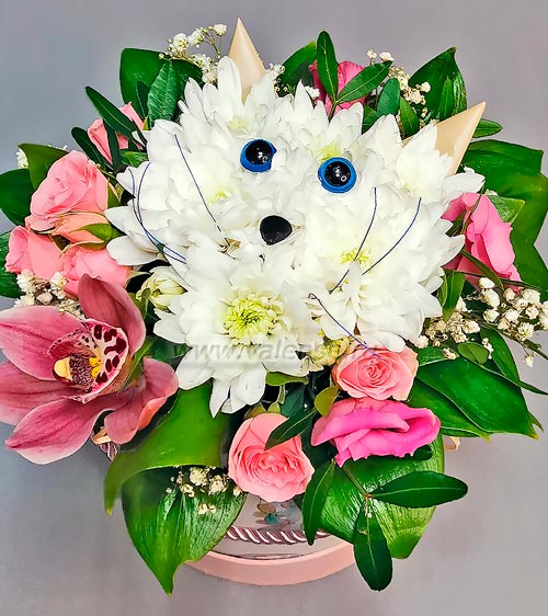 Мордашка котенок - доставка цветов Валенсе