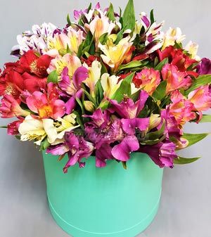 Альстромерии микс