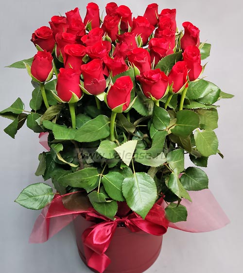 31 роза в коробке - доставка цветов Валенсе