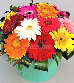 Герберы в коробке