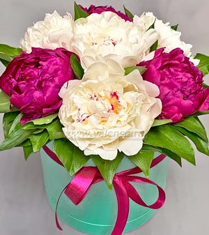 7 пионов микс