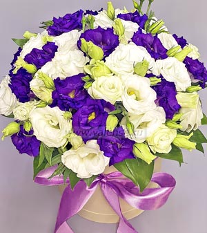 Эустома в коробке