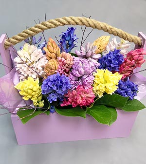 Гиацинты микс