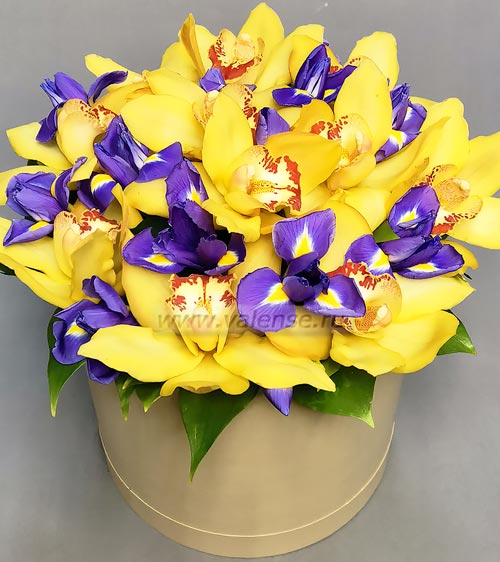 Ирис и орхидея - доставка цветов Валенсе