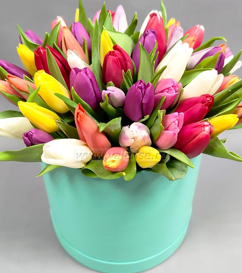 Коробка 51 тюльпан - доставка цветов Валенсе