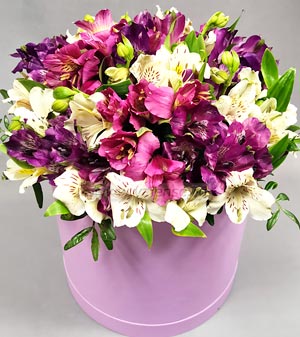 Коробочка альстромерий