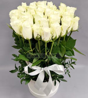 Белые розы в коробке