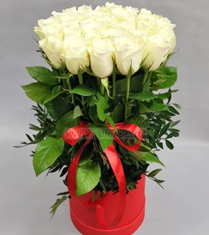 31 белая роза