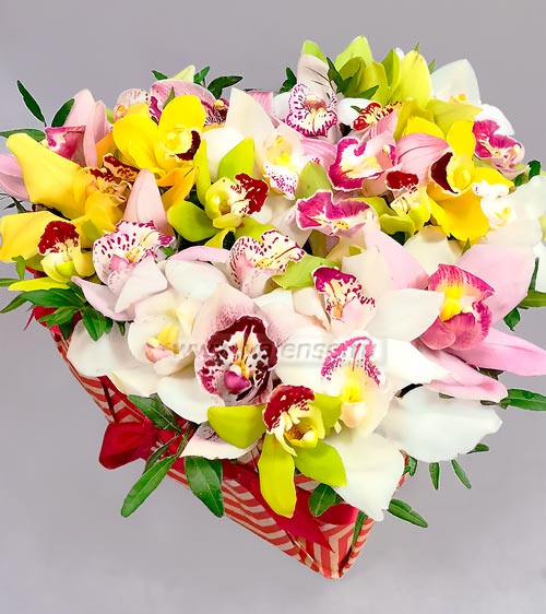 Сердце из орхидей - доставка цветов Валенсе