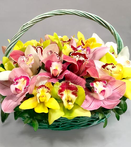Корзинка орхидей - доставка цветов Валенсе