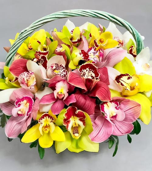 Корзинка орхидей - доставка цветов Валенсе вариант исполнения 1 