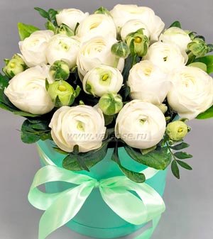 Лютики (ранункулюсы)