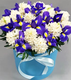 Гиацинты и ирисы